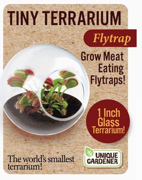 Tiny Terrarium Carnivorous