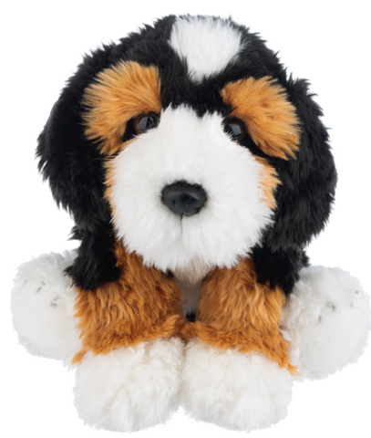 12” Heritage Bernedoodle