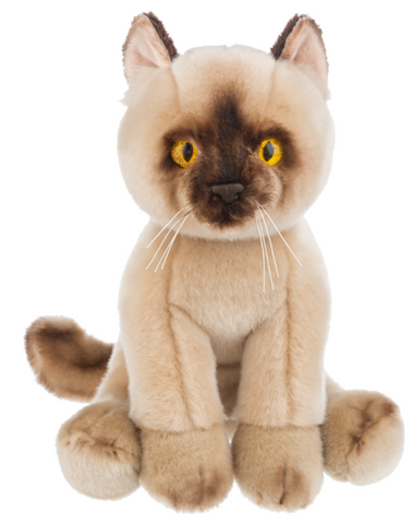 12" Heritage Burmese Cat