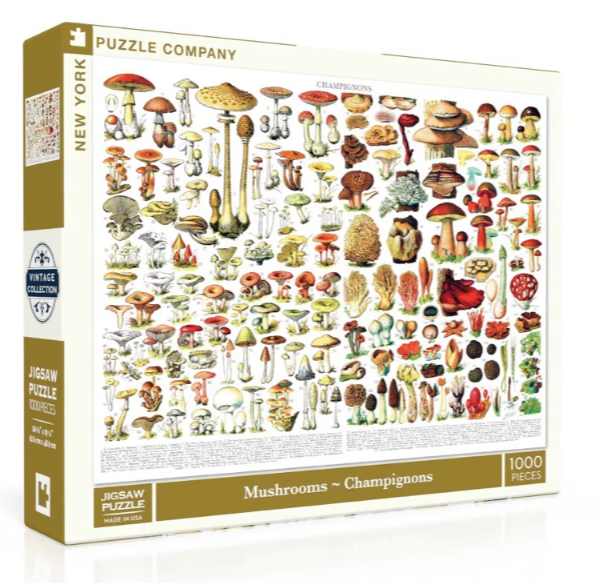 Mushrooms Champignons 1000pc