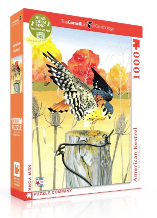 American Kestrel 1000pc