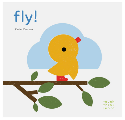 Touch Think Learn :Fly BB