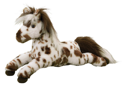 Duke Appaloosa Horse