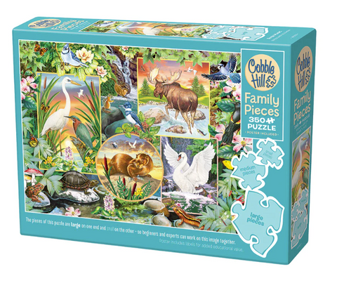 Family-River Magic 350pc