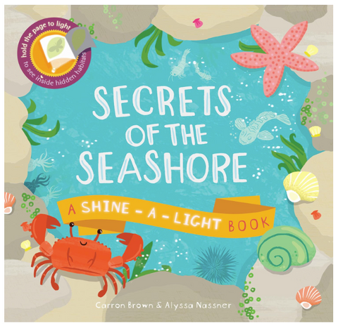 Secrets of the Seashore