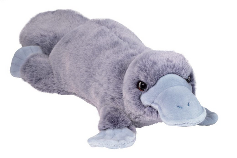 Allie Platypus Soft