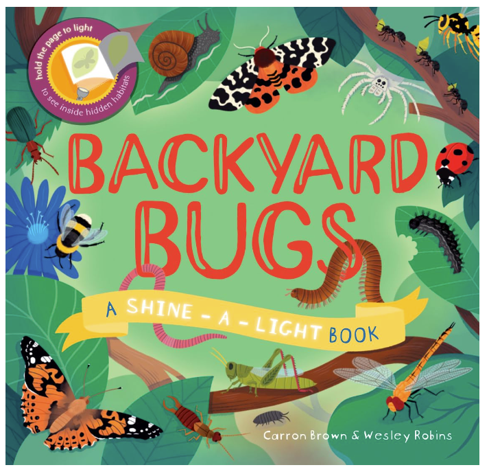 Shine-A-Light: Backyard Bugs