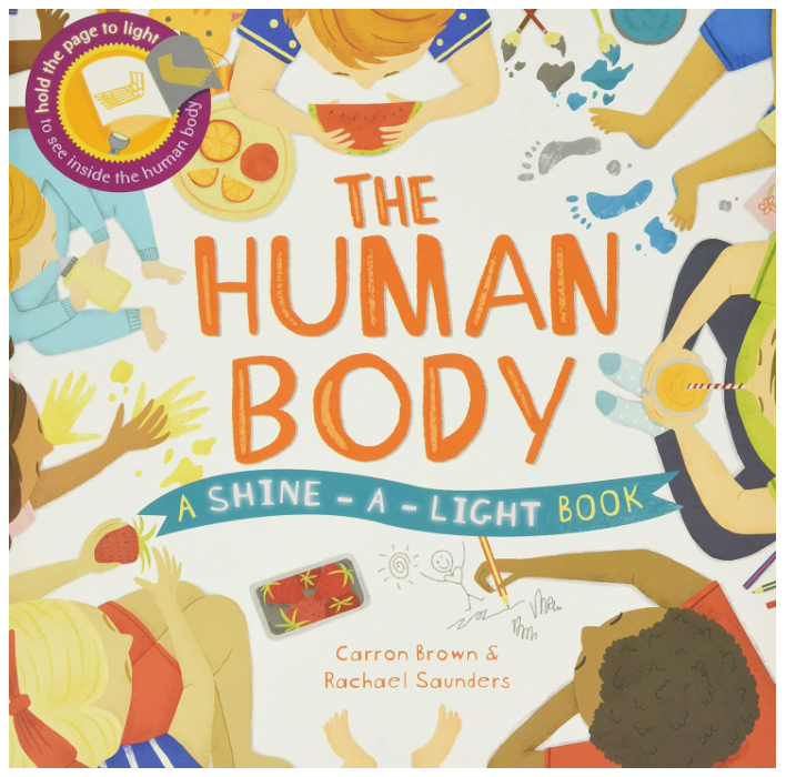 Shine-A-Light: The Human Body