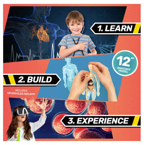 VR Bill Nye Body Lab