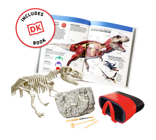 VR Dinosaurs Gift Set w/DK Book