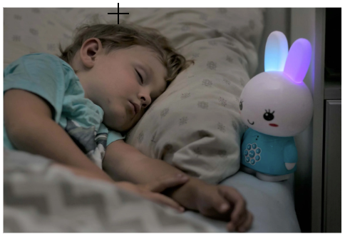 Honey Bunny Audio Player