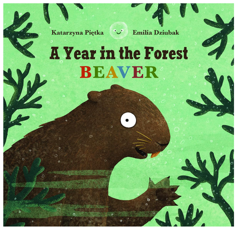 A Year in the Forest with Beaver