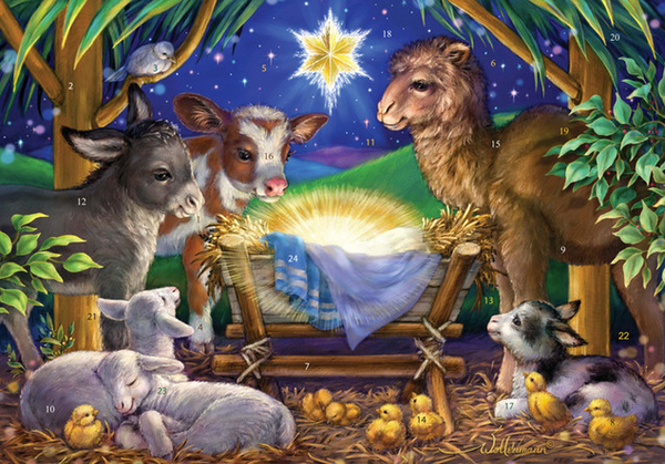 A Child Is Born Advent