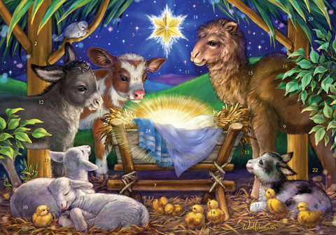 A Child Is Born Advent
