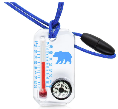 Therm O Compass Bear