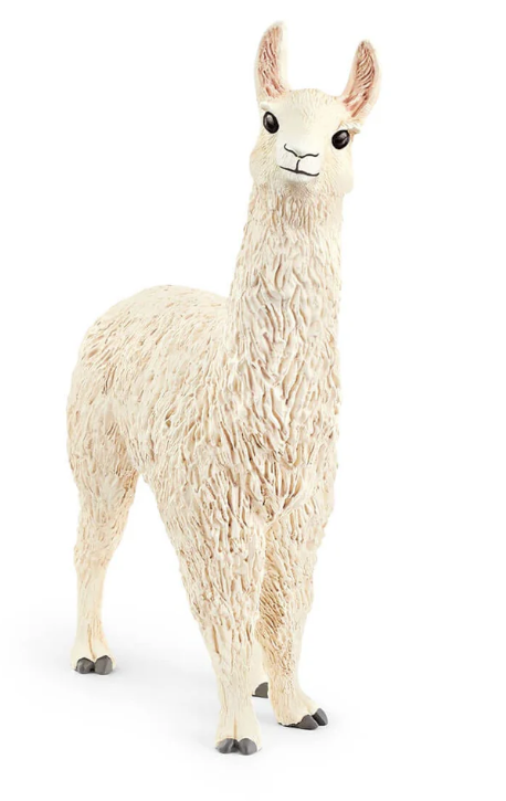 Llama