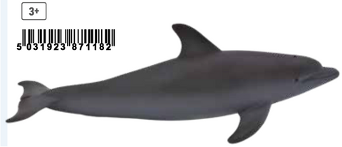 Bottle Nose Dolphin