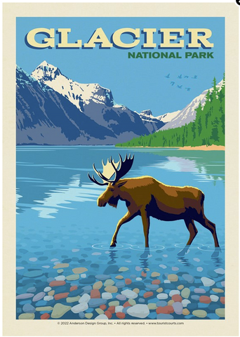 Gnp Moose Postcard