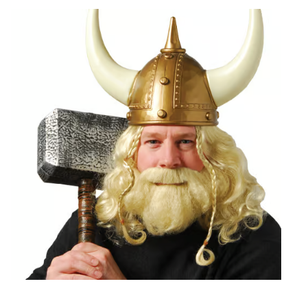 Viking Wig & Beard Set