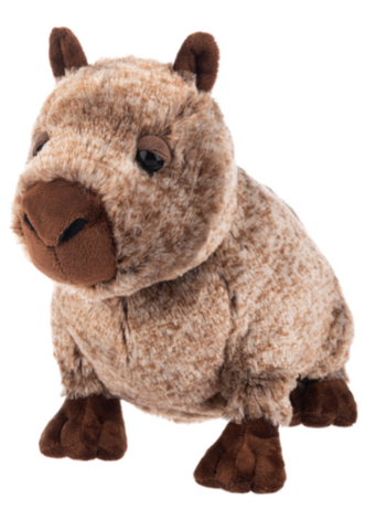 10" Chico Capybara