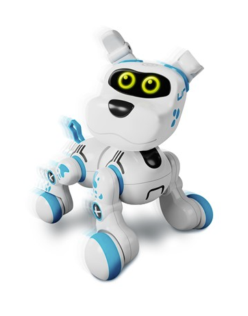 Buddy Bot