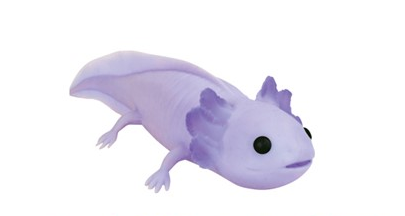 Squishy Axolotl