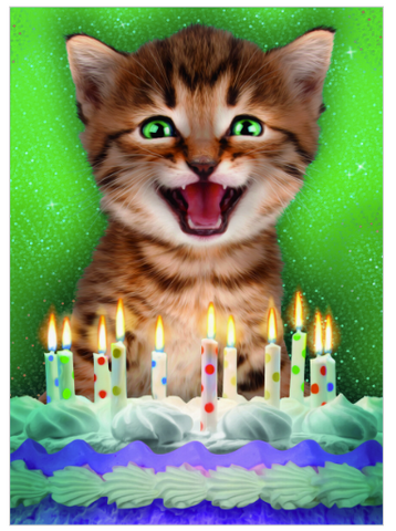 Realistic Cat Bd