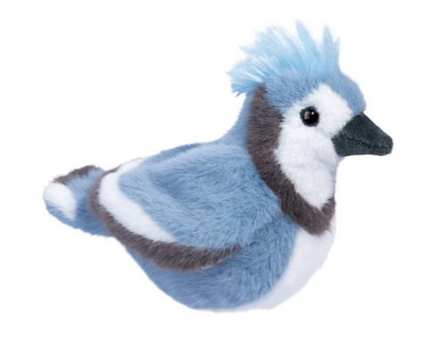 Denim Blue Jay