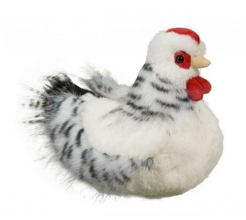 Salty Black & White Hen