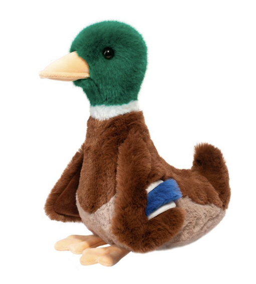 Desie Mallard Duck