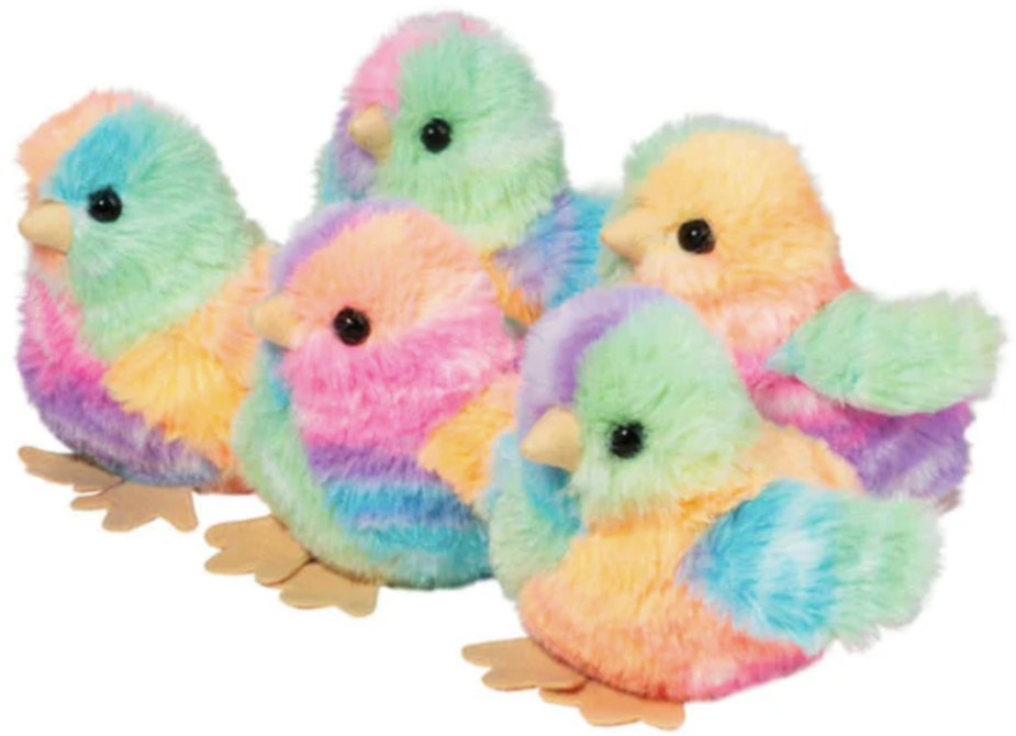 Rainbow Chick Assortment