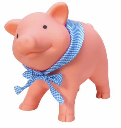 Rubber Piggy Bank