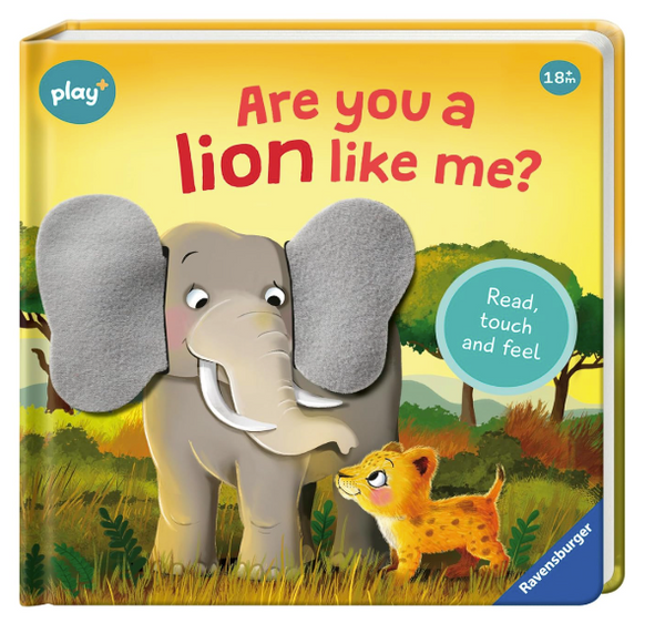 Are You A Lion Like Me? BB