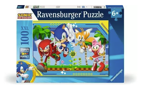 Sonic the Hedgehog 100pc