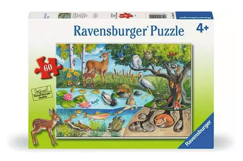 Animals Above & Below 60pc