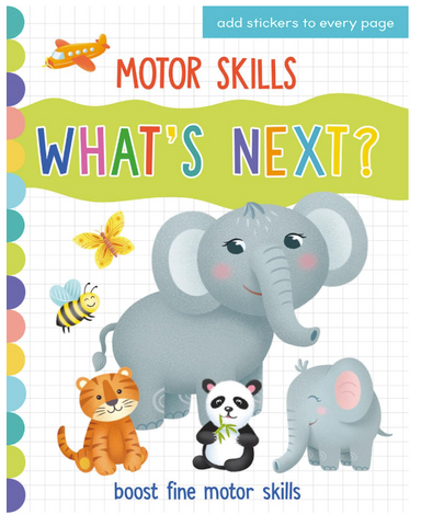 Motor Skills-What's Next?