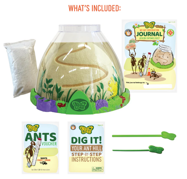Ant Hill w/ Prepaid Voucher