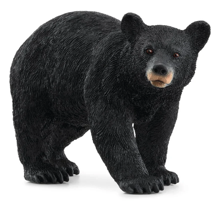 American Black Bear (Schleich)