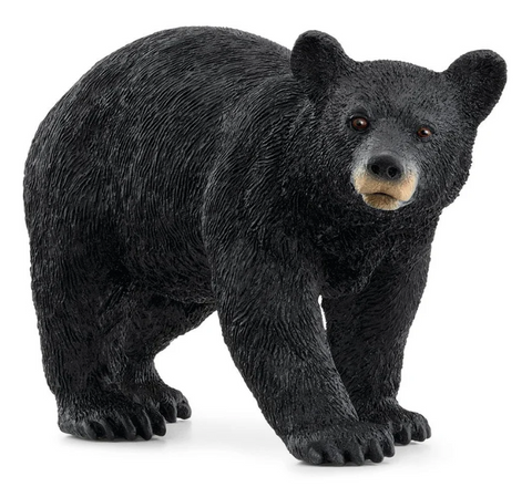 American Black Bear (Schleich)