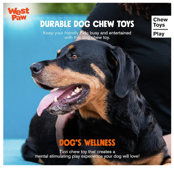 Tizzi Treat Dispensing Dog Toy-Grn  4.5