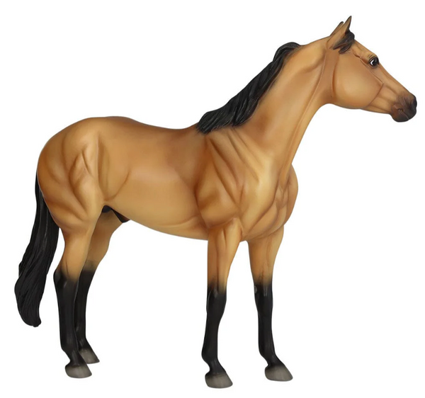 Buckskin The Ideal Series