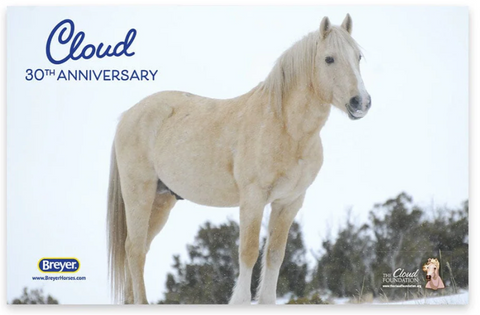 Cloud 30th Anniversary Edition