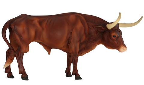 Texas Longhorn Bull