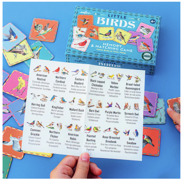Birds Little Matching Game