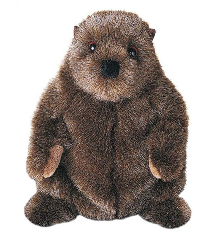 Chuckwood Groundhog 11"