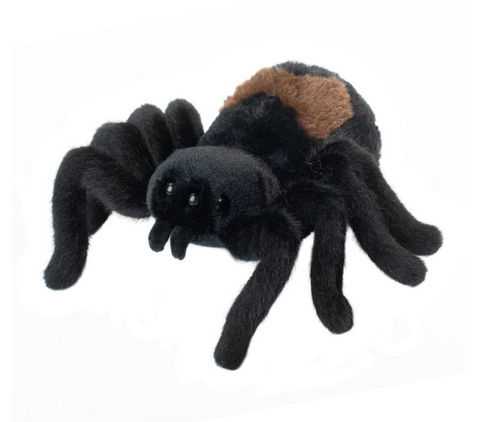 Sneakie Spider 7"