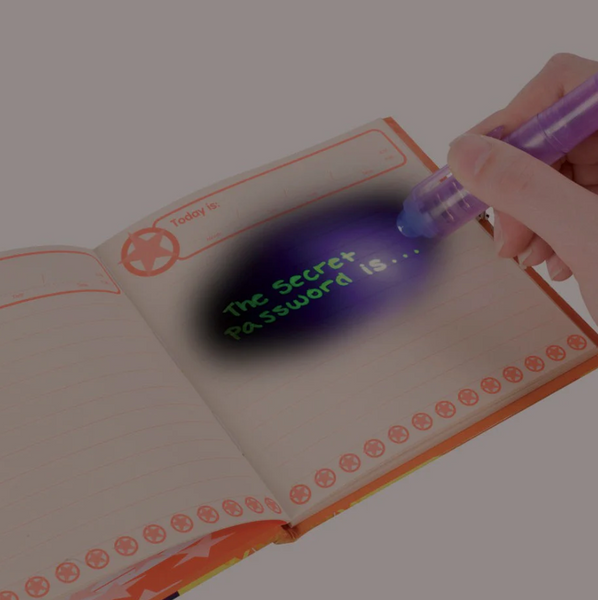2 in 1 Invisible Writer