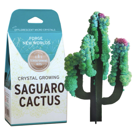 Crystal Growing Cactus
