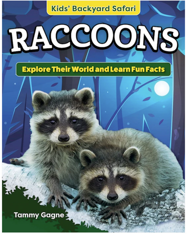 Backyard Safari: Raccoons