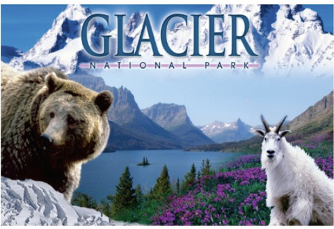 GNP Collage Postcard